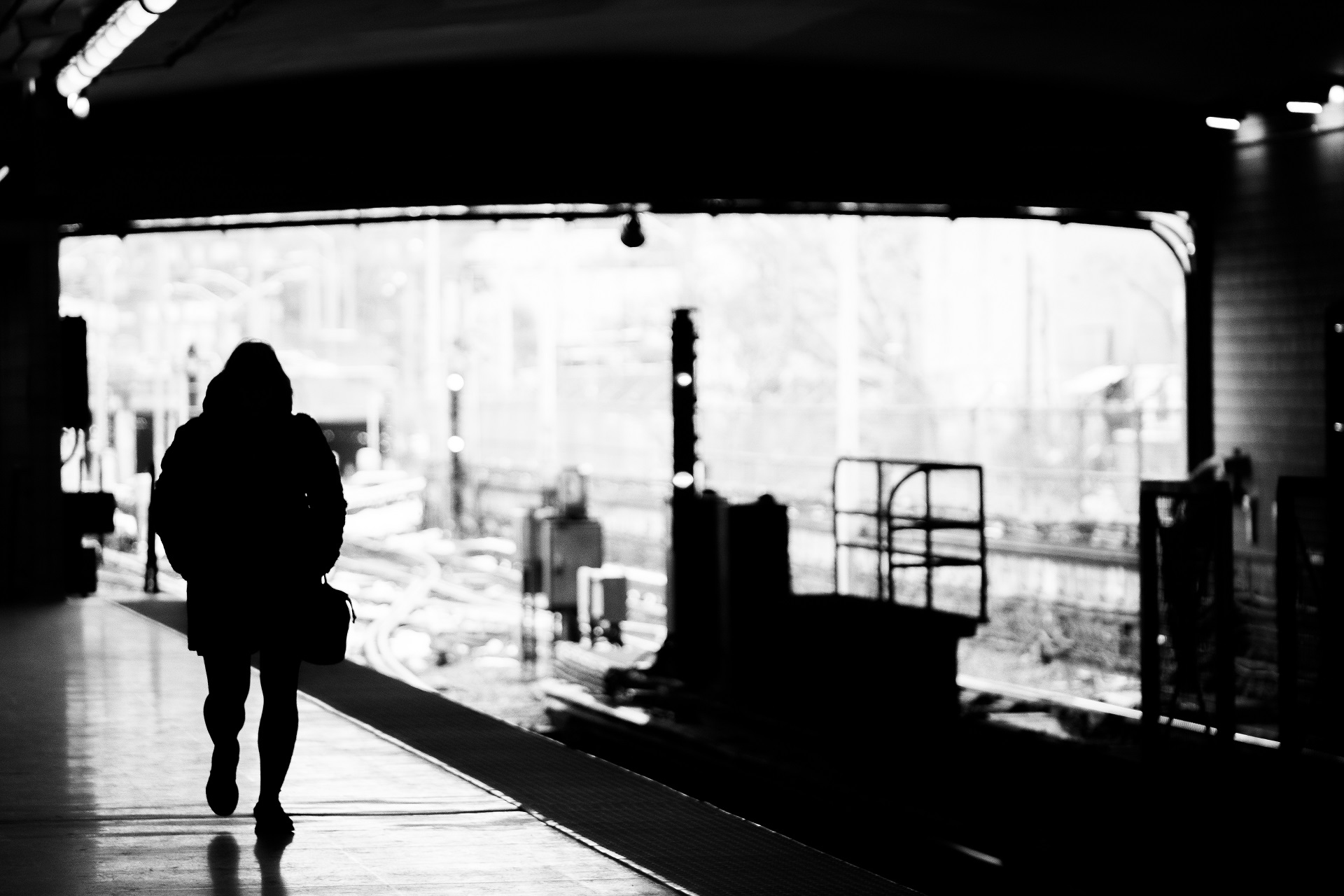 /images/stories/monochromatic_life/14.jpg
