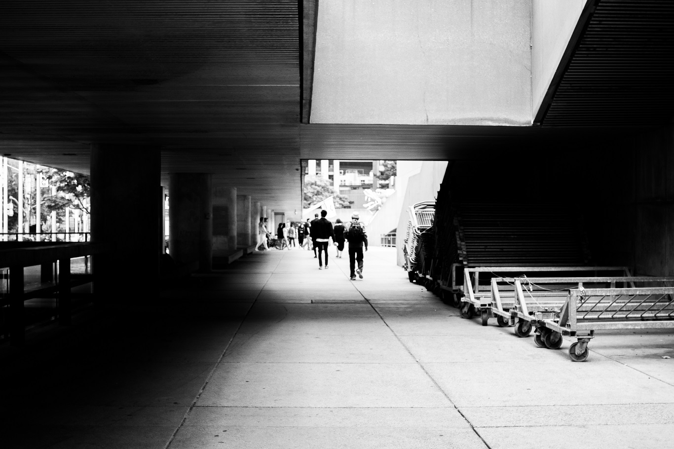 /images/stories/monochromatic_life/6.jpg
