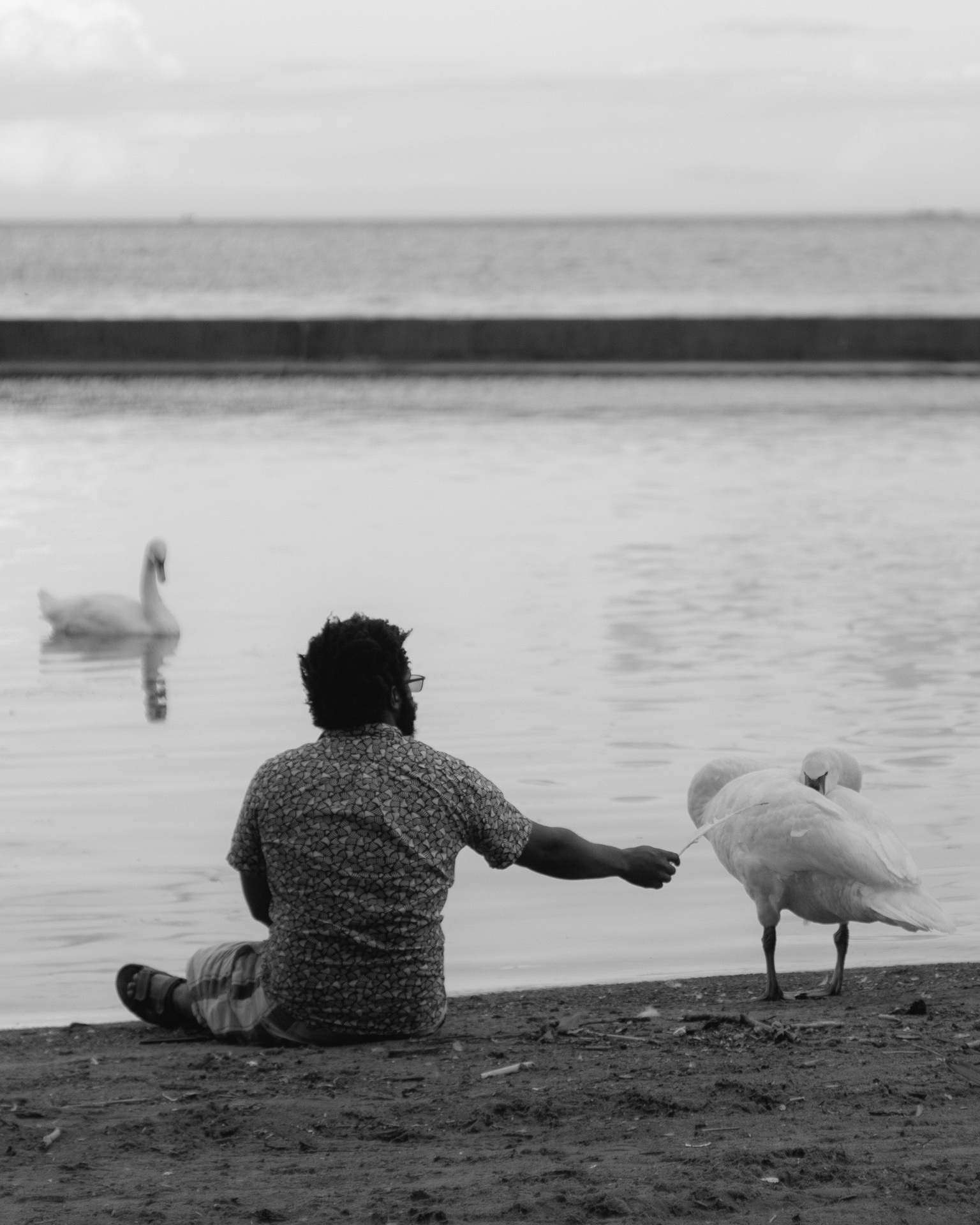 /images/stories/tpl_exhibition/pet-3.jpg